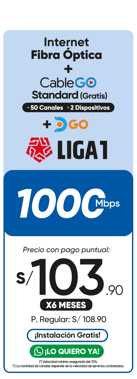 duomax1000mb
