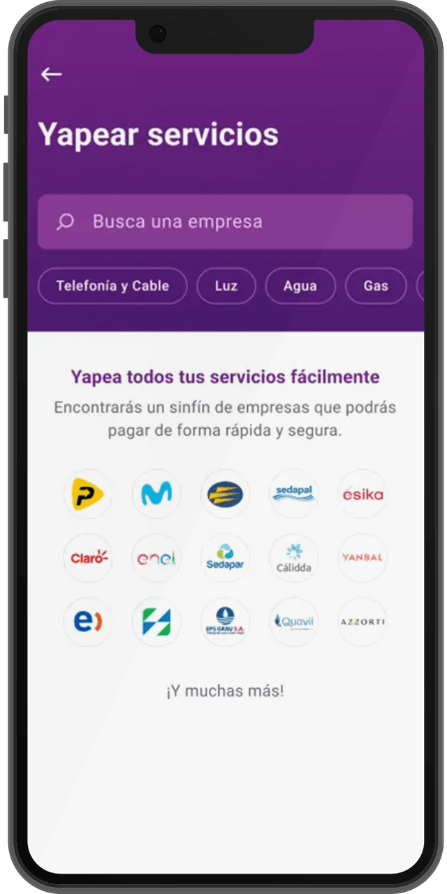 yape02